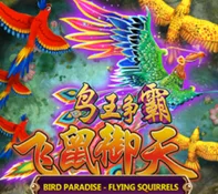 Bird Paradise — game at Bankbank2